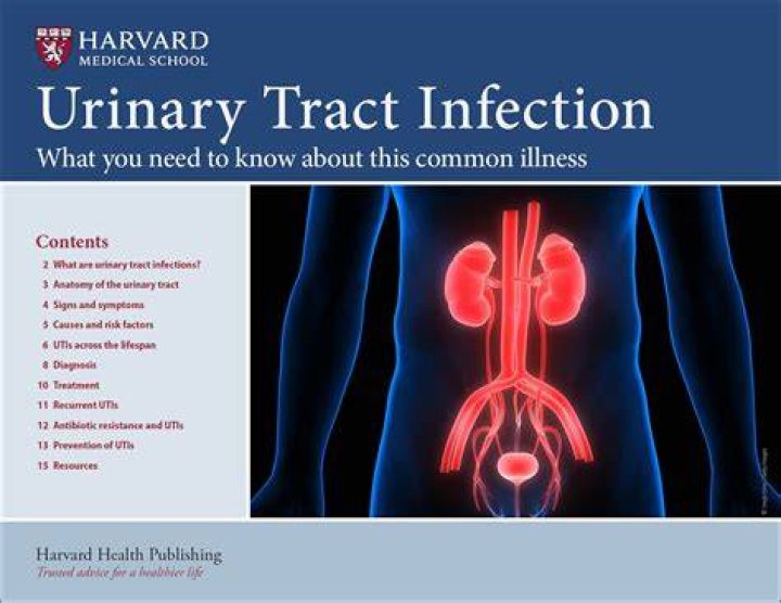 Why do I keep getting UTIs?
