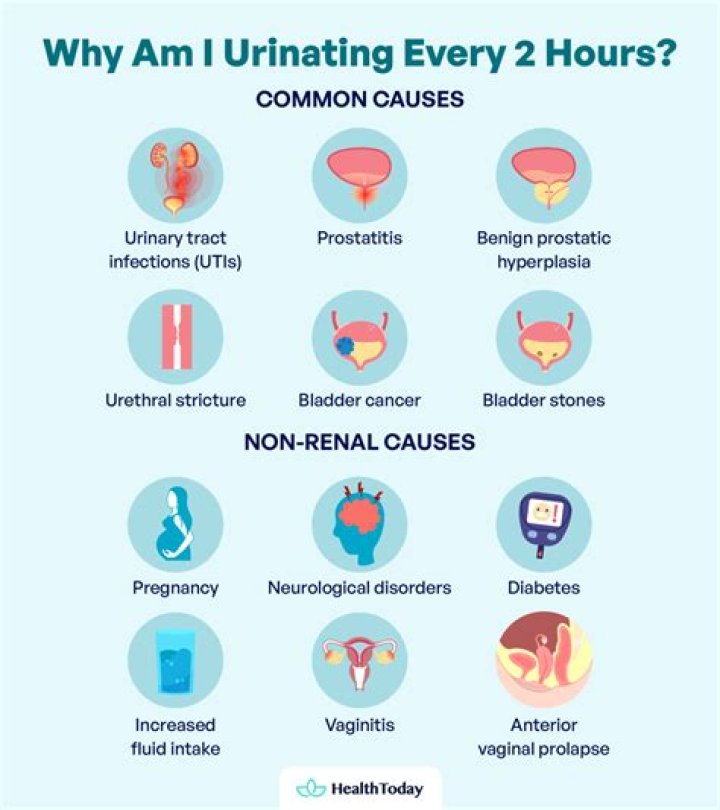 Why do I keep peeing every hour?