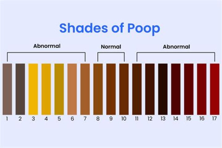 Why do I suddenly need to poop all the time?