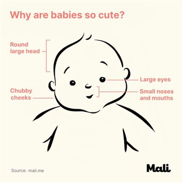 Why do people think their babies are cute?