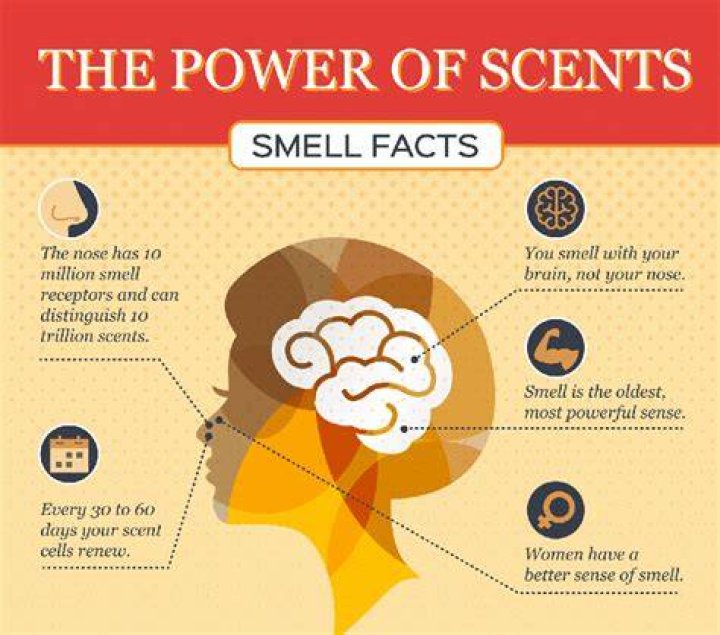 Why do scents bother me?