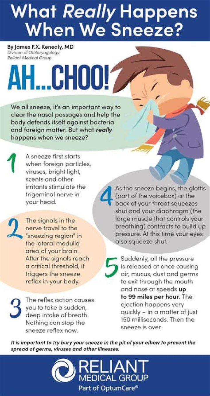 Why do sneezes smell like honey?