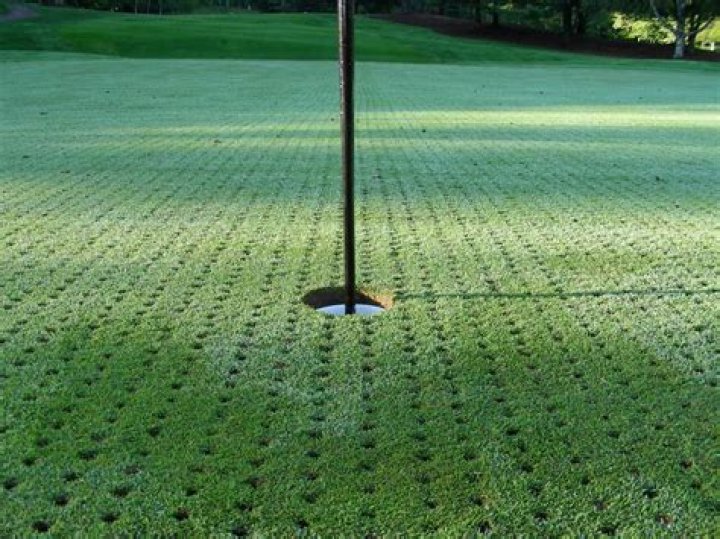 Why do they aerate golf greens?