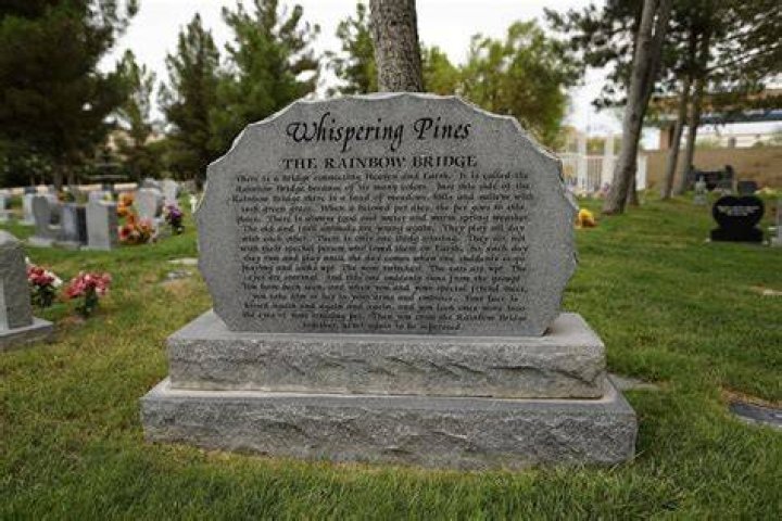 Why do they call Jim Mckay bones?