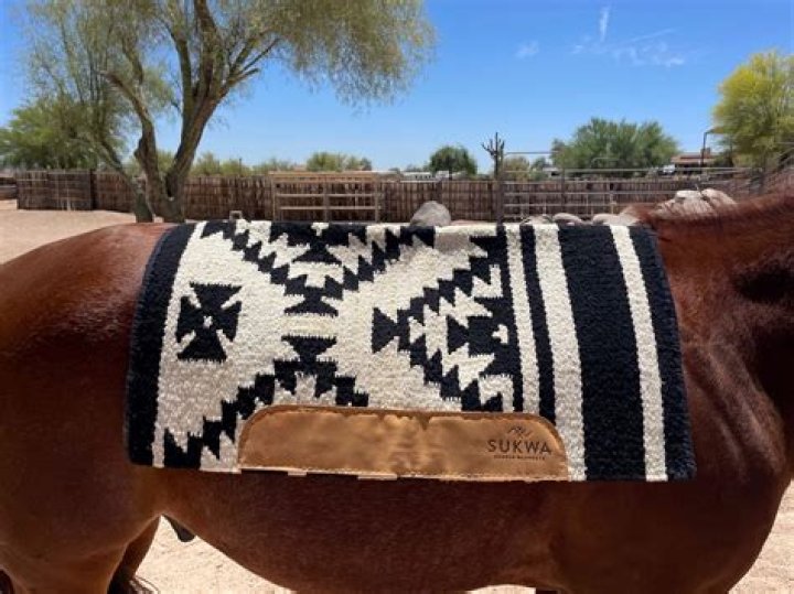 Why do they put blankets on horses?
