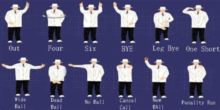 Why do umpires use hand signals?