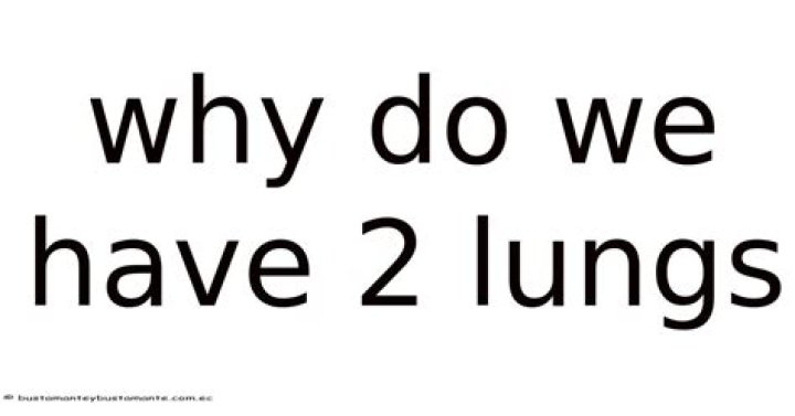 Why do we have 2 lungs?