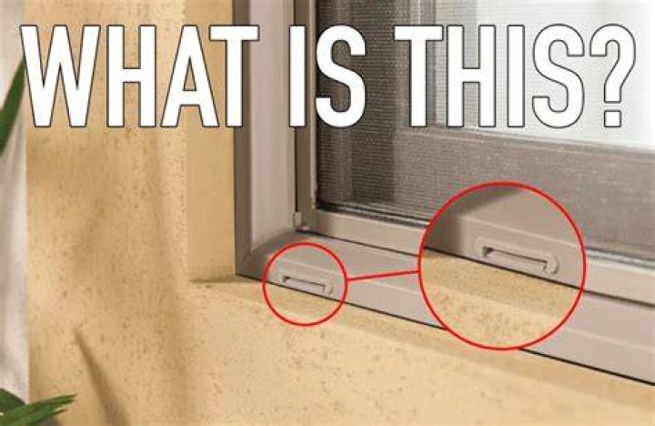 Why do windows have wire netting?