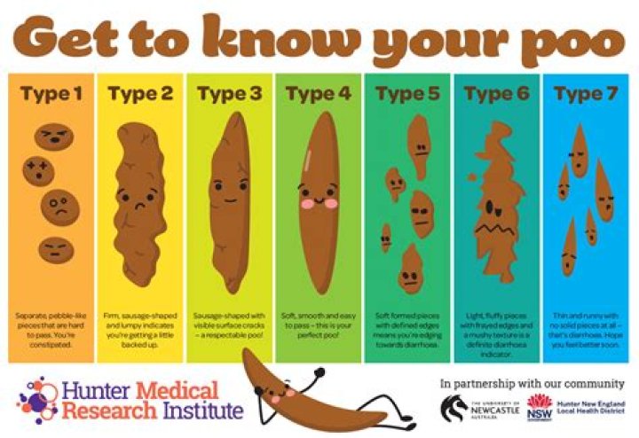 Why do you poop more on antibiotics?