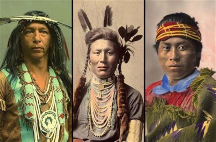 Why does 23andMe not show Native American?