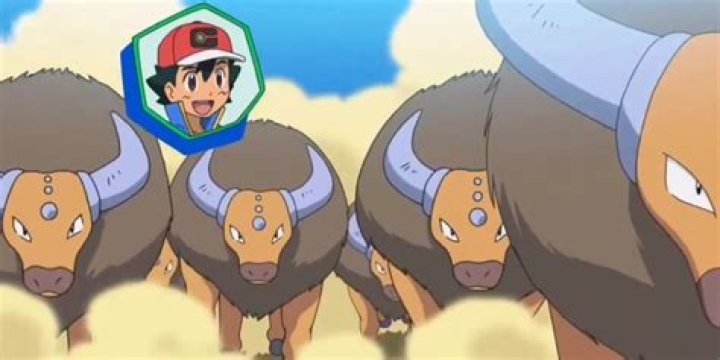 Why does Ash have 30 tauros?