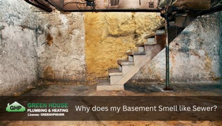 Why does my basement smell like septic?