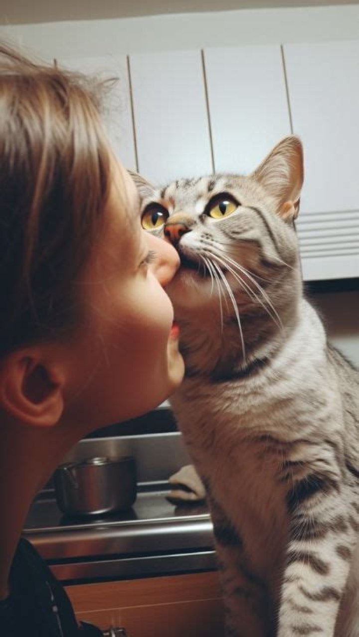 Why does my cat headbutt me then bite me?
