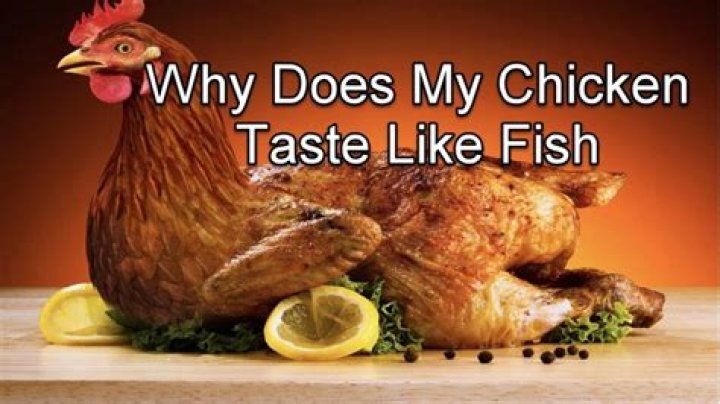 Why does my chicken taste like fish?
