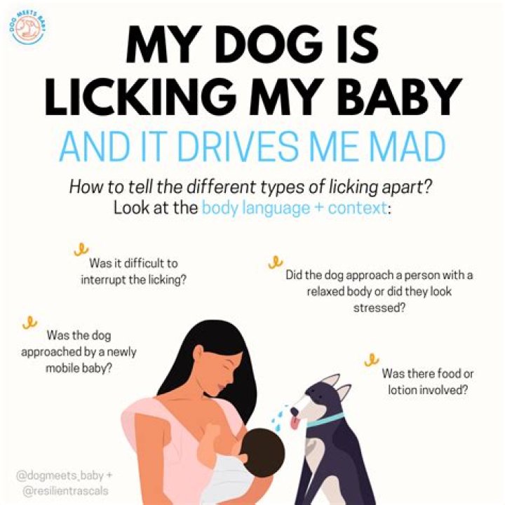 Why does my dog leave the room when my baby cries?