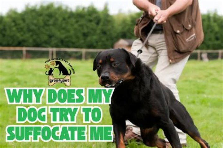 Why does my dog try to suffocate me?
