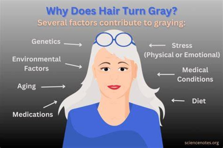 Why does my grey hair come back so fast?