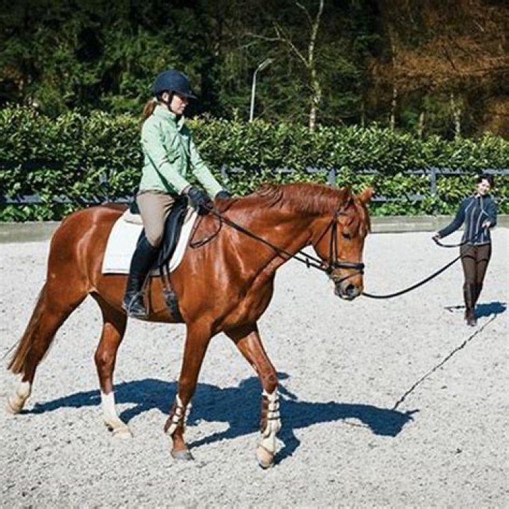 Why does my horse stop trotting?