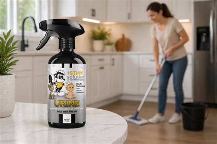 Why does my house smell like pee?