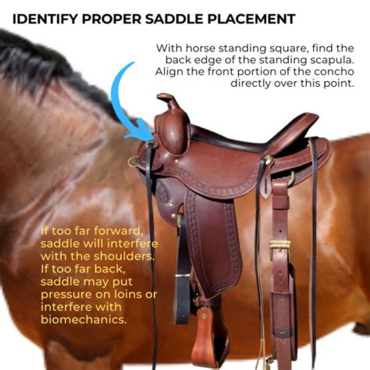 Why does my saddle roll when mounting?