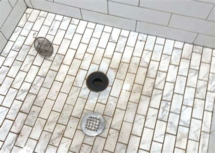 Why does my shower smell like sewage?