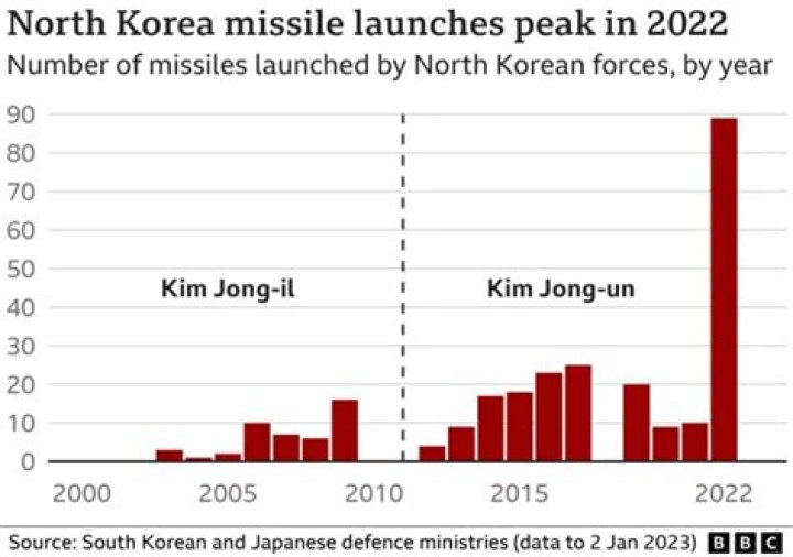 Why does North Korea have a high life expectancy?