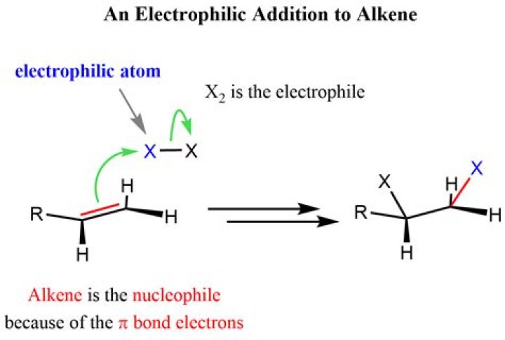 Why is an alkene an electrophile?