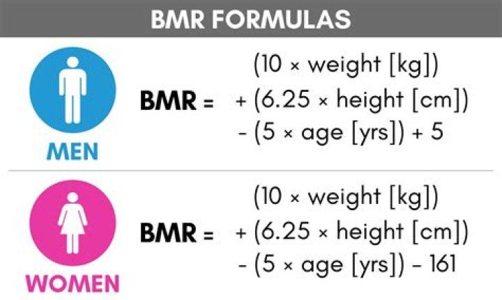 Why is BMR in male higher than female?