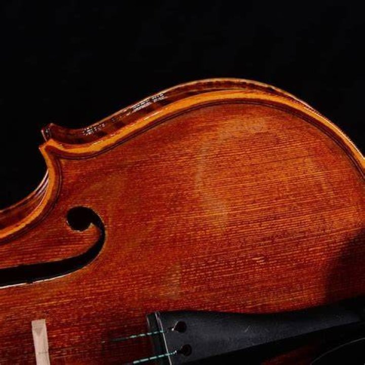 Why is Fiorentina called Viola?