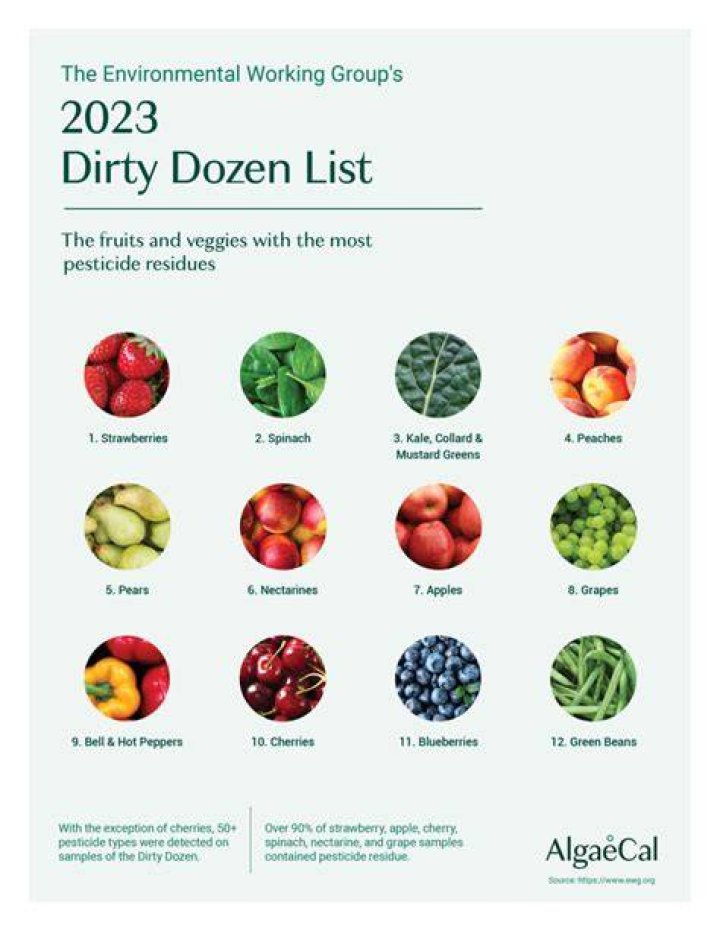 Why is Garcia the Dirty Dozen?