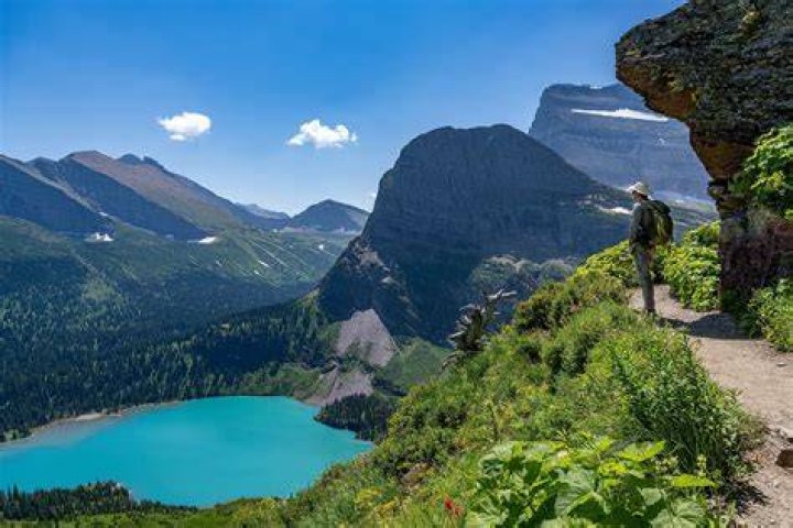 Why is Montana so popular?