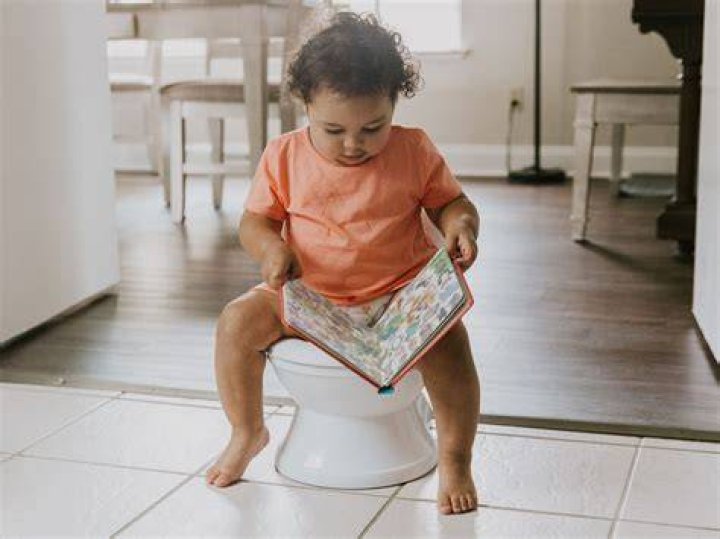 Why is my 3 year old scared of the potty?