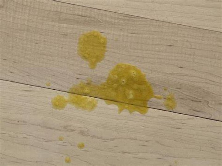 Why is my baby's puke yellow?