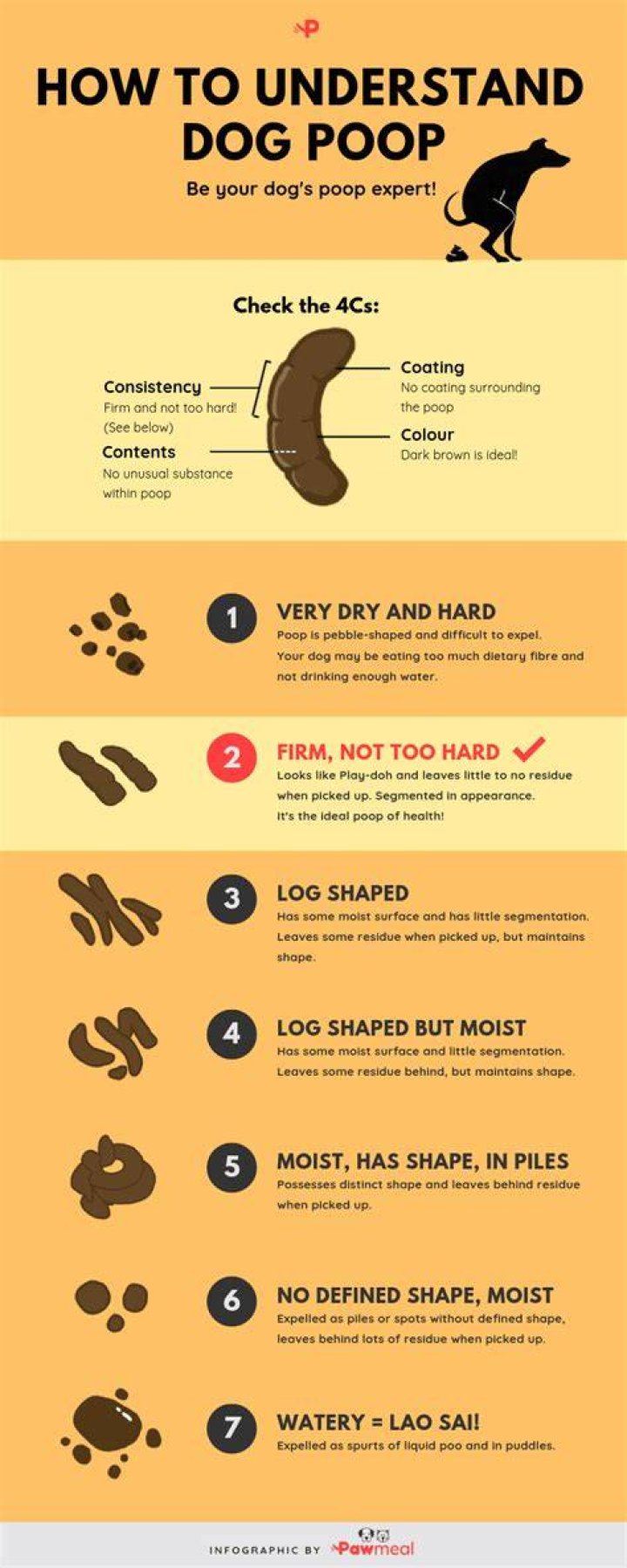 Why is my dogs poo sloppy?