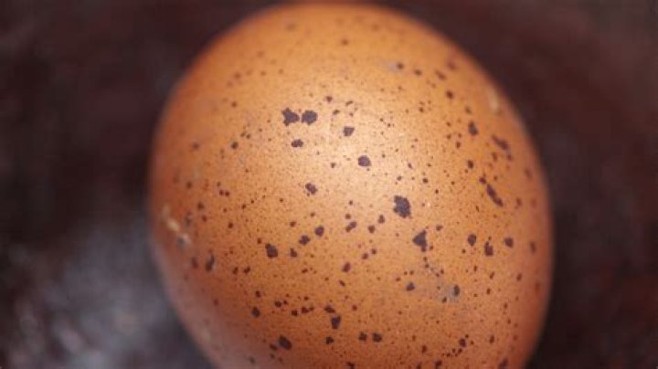 Why is my egg shell bumpy?