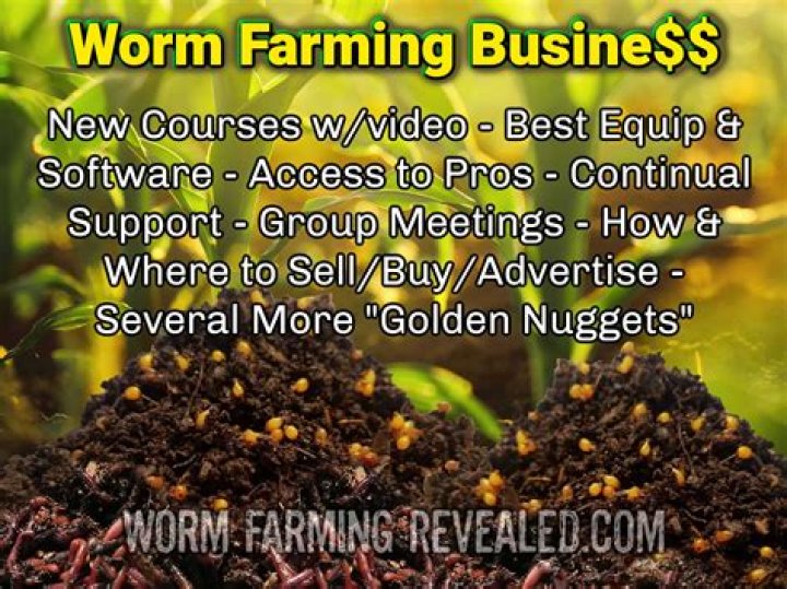 Why is my worm farm so wet?