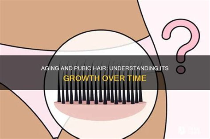 Why is pubic hair thicker?