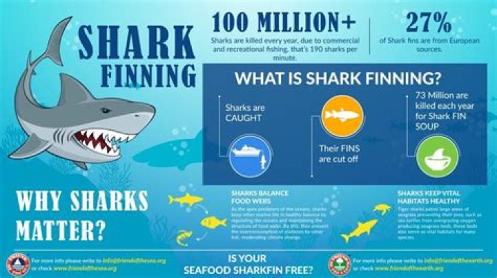Why is shark finning illegal?