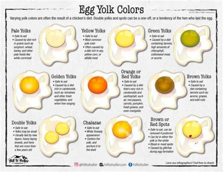 Why is the egg yolk green?