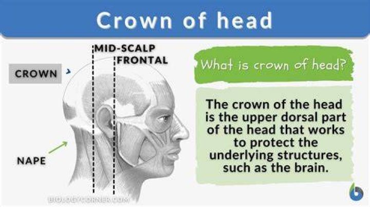 Why is the head tapu for Māori?