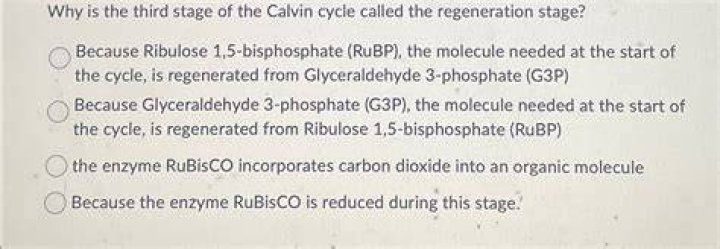Why is the third stage of the Calvin cycle called the regeneration stage?