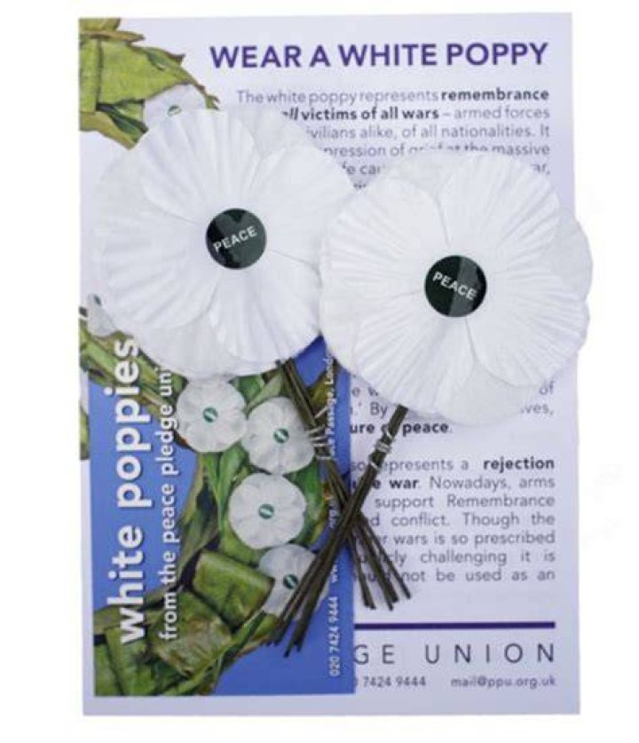Why is the white poppy offensive?