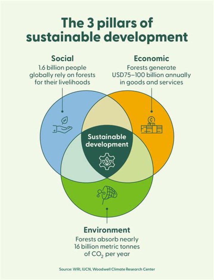 Why is VEJA sustainable?
