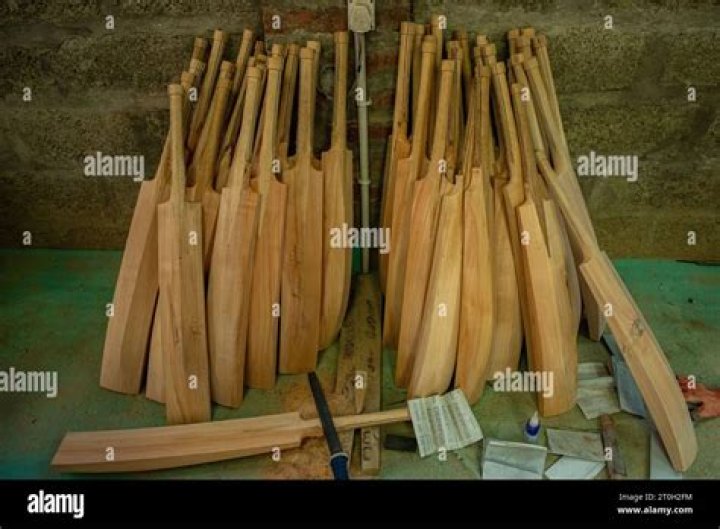 Why is willow used for cricket bats?