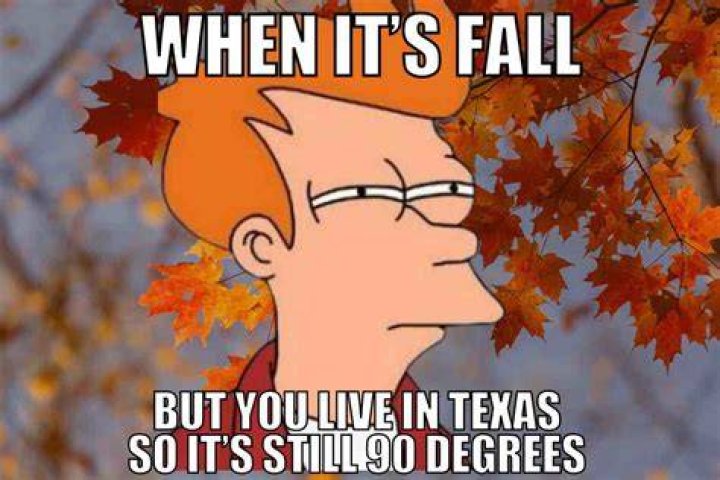 Why should you not live in Texas?