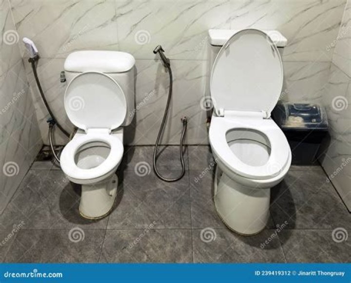 Why there are 2 toilet seats in Italy?