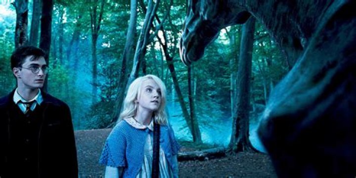 Why was Luna in Ravenclaw?