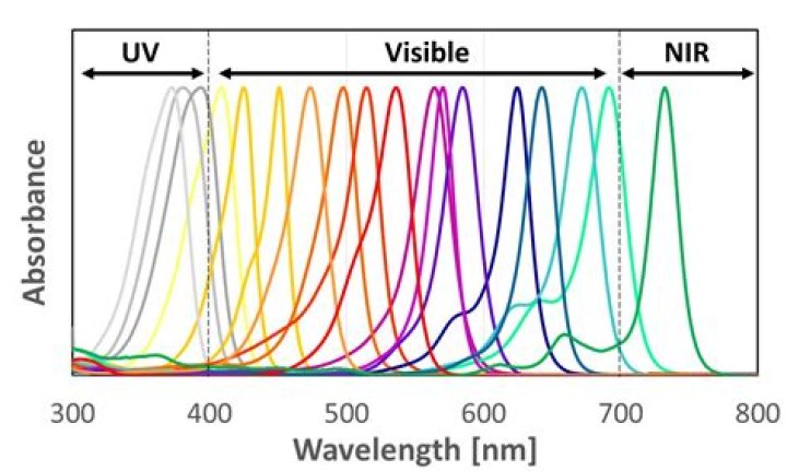 Why was the anthrone test read at an absorbance of 620nm?