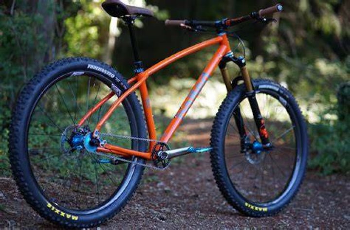 Why would you want a single-speed mountain bike?