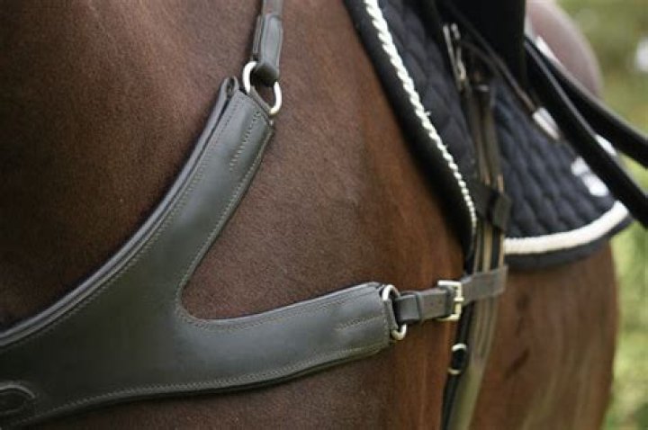 Will a breastplate stop my saddle slipping?